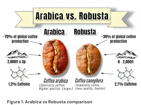 arabica & robusta