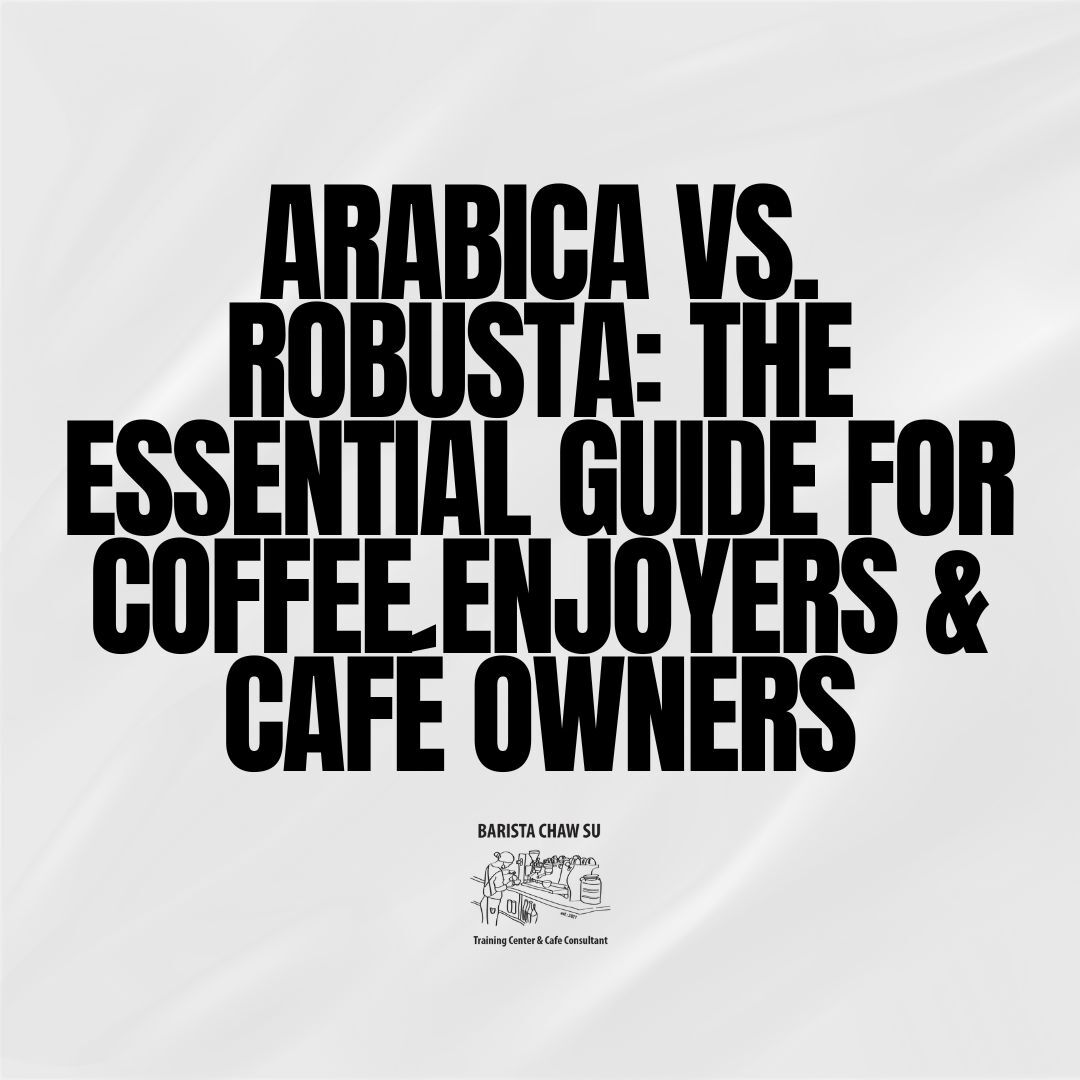 Watch misni sdedn nises